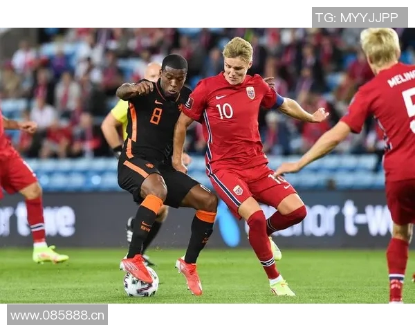 欧洲世预赛机会创造统计厄德高领衔托纳利丁丁紧随其后